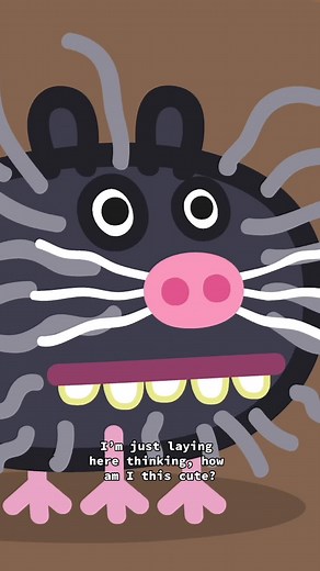 Adorable Peppa Pig and Guinea Pig Crave Attention | Cute and Funny Video