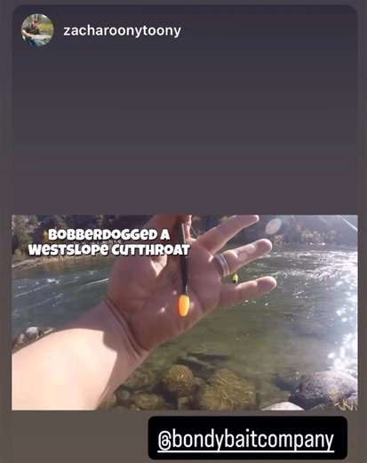 Bondy Worm for trout?? It’s been a secret in Ontario rivers for a bit. Here’s more proof from Zach Penny! | Bondy Bait Company