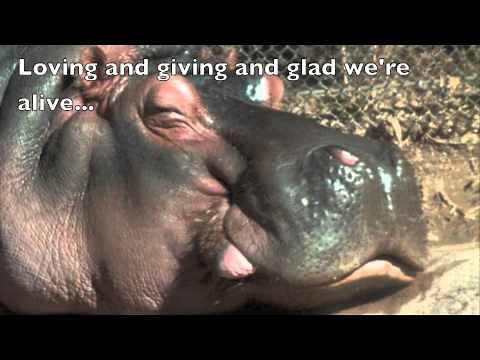 I THINK YOU'RE WONDERFUL