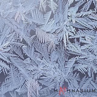 10K views · 31 reactions | Did you know that ice crystals are fractals? It’s true! As they form, they exhibit similar patterns at increasingly smaller scales. This property is called “self-similarity” or “unfolding symmetry.” Isn’t #MathInNature wondrous? ❄️ #Mathnasium #Fractal | Mathnasium | Facebook