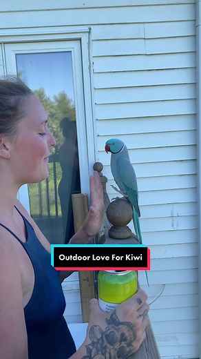 Oh my goodness, what happened? #thebluechicken #talkingparrot #cutepets #bird #parrot #fyp #indianringneck #canada #novascotia #thankyoubaby