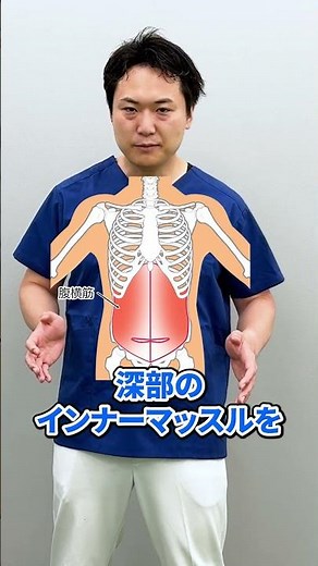 【50歳からのお腹痩せ】50代 60代 70代でも 腹筋鍛えてポッコリお腹 凹む 腰痛 股関節痛 ひざの痛みも一緒に改善 【簡単 腹横筋トレーニング】 #ぽっこりお腹 #腹筋 #インナーマッスル