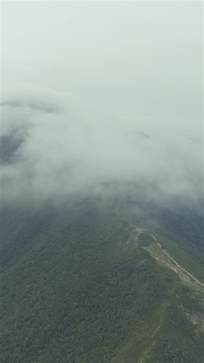 5.6K reactions · 208 shares | Discover the brilliant blossoms of...