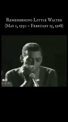 Dime Store Radio on Instagram: "Remembering Little Walter, born Marion Walter Jacobs on May 1, 1930, in Marksville, Louisiana and raised in Rapides Parish, Louisiana (maybe) -- he died on February 15, 1968. Little Walter was an American blues musician and singer, whose revolutionary approach to the harmonica earned him comparisons to Charlie Parker and Jimi Hendrix, for innovation and impact on succeeding generations. His virtuosity and musical innovations fundamentally altered many listeners' e