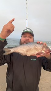 4.2K views · 58 reactions | How to make a simple shark rig | Stephen Hazlife Fultz | Facebook