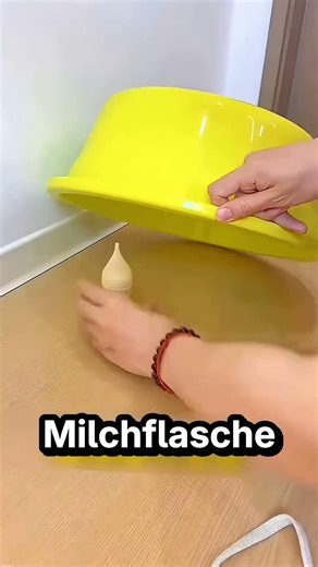 Diese Kätzchen entkommt vor seinem Besitzer 🐱 🏃