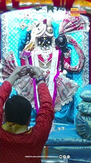 राजाधिराज द्वारकाधीश जी के शयन आरती दर्शन🙏 #sayanaarti #ShridwarikadhishmandirOfficial