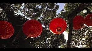 4.1K views · 154 reactions | Experience the sights, sounds and...