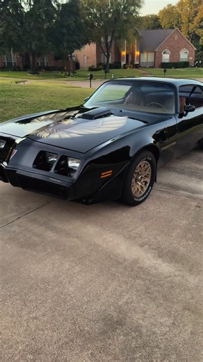 Antique Pontiac Muscle Cars: A Nostalgic Journey