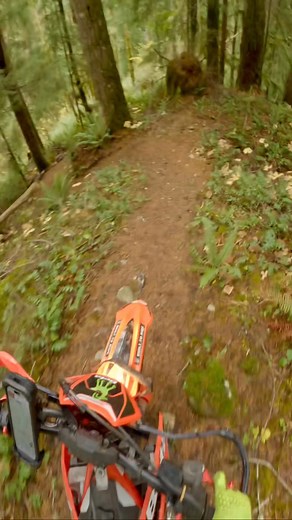 28 reactions · 4 comments | Found a new downhill section I’ve never ridden so of course I had to go down. | David Baumann | Facebook