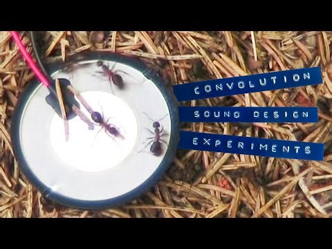 Recording Ants in a Swedish Forest - Convolution Sound Design