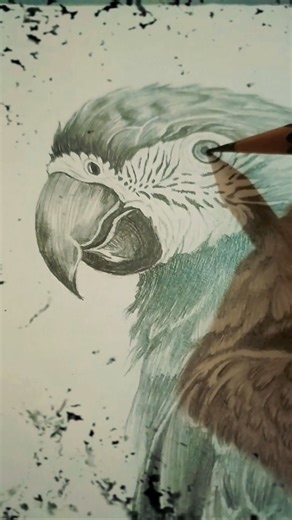 “From Sketch to Soul 🦜✨ | My Parrot Drawing Comes Alive with Airtel Fonk Edit 🔥”