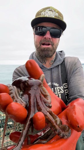 Catching Octopus: The Friendliest Fishing Experience