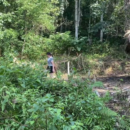 Techniques for making doors and bamboo walls for wooden houses Build Log Cabin by Girl 046 | My Sengle