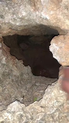 Kaçakkazı Nedir? Arkeoloji ve Define Avı Arasındaki Fark