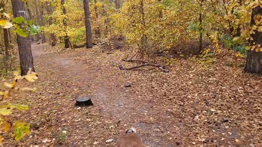 Clearing my head | Simon Captain Howdy