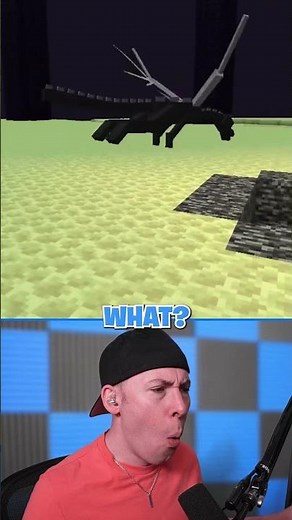 Steve vs Ender Dragon: The Ending You Didn't Expect! #minecraft