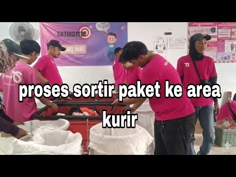 Here's How to Sort Packages in Anteraja's Staging | Courier Teamwork