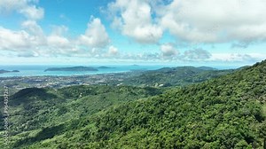 Rainforest trees ecology with healthy environment concept and summer background,Green environment background