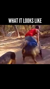 216K views · 7.8K reactions | The coolest way to fide a pig ever Follow @topshelf.nerds for more | Top Shelf Nerds | Facebook