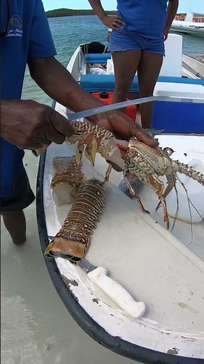 Quick and Easy Lobster Cleaning in the Bahamas! #youtubeshorts