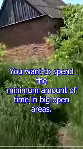 Combat vet Paul on TikTok