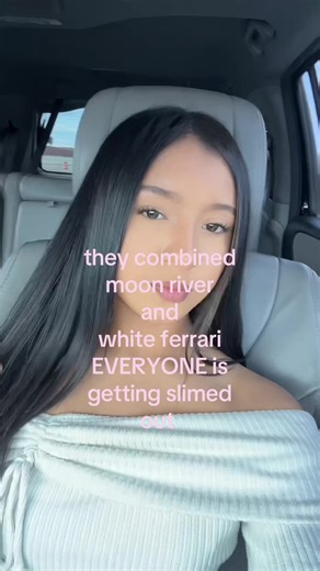 so beautiful yet so gut wrenching 🫩 #moonriver #whiteferrari #frankocean #fyp #sad