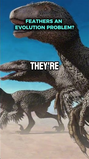 FEATHERS AN EVOLUTION PROBLEM?
