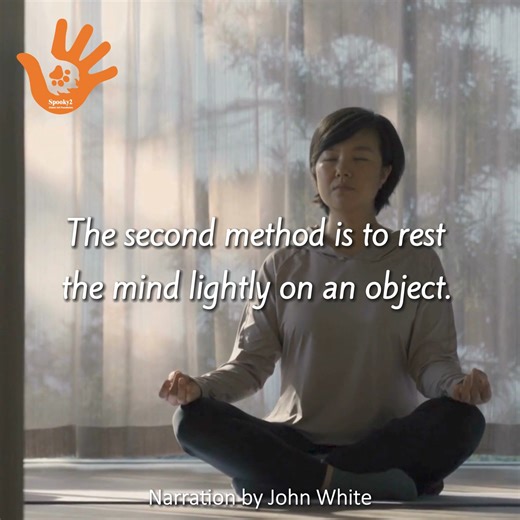 🌼 Meditation method 2: Using an object 👉 Start the Meditation Practice: https://tinyurl.com/2h4wbdxz 🔎 The second method is to rest the mind lightly on an object. You can use an object of natural beauty that invokes a special feeling of inspiration for you, such as a flower or crystal. #spooky2 #spooky2charity #spooky2globalaidfoundation #spooky2energyhealing #spooky2rife #meditation #meditationpractice #meditationguides | Spooky2