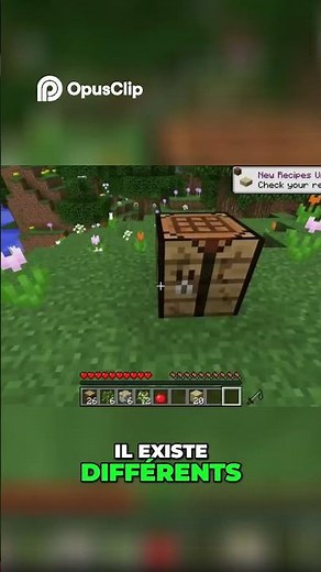 Minecraft: Create Your Infinite and Playful Universe!