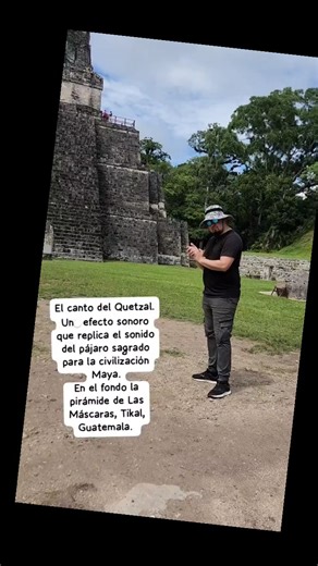 Tikal, Guatemala — Un lugar lleno de historia, energía y misterio. Entre las imponentes pirámides mayas, un simple aplauso se convierte en magia: el eco rebota entre las estructuras y produce un sonido que, según dicen, imita el canto del Quetzal, el ave sagrada de los mayas 🕊️🇬🇹 Cada paso por este sitio arqueológico te conecta con una civilización que entendía la naturaleza, el cielo y el alma humana como un solo todo. Definitivamente, Tikal se siente, no solo se visita. 🌿🔥 #Tikal #Guatema