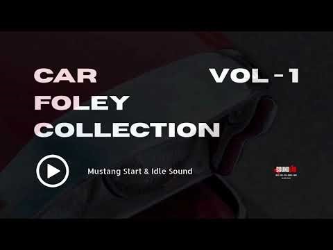 Mustang Start & Idle Sound | Powerful Engine Tone