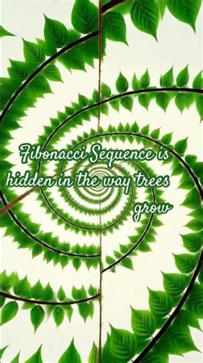 The Fibonacci Sequence is hidden in the way trees grow! See comments section!