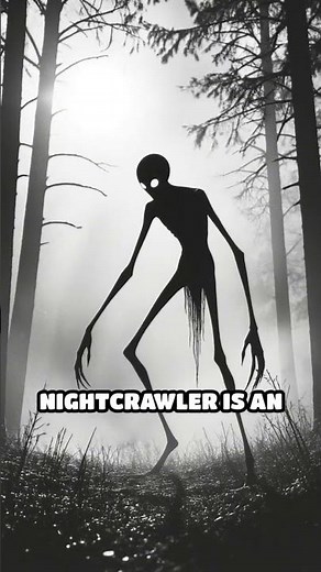 The Fresno Nightcrawler: California's Walking Mystery