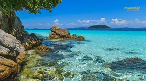 "🌊 Dive into the stunning marine biodiversity of the Myeik Archipelago! 🐠 Readmore> https://tourism.gov.mm/myeik/ #myanmar #MyanmarBeEnchanted #tourismdaily #myeikarchipelago #marinebiodiversity #tourisminmyanmar #visitmyanmar #travelmyanmar | tourisminmyanmar.com.mm