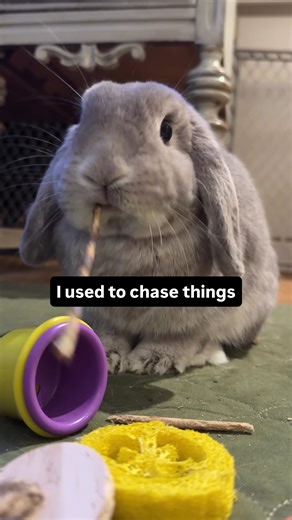 Baby George Explores the Law of Attraction