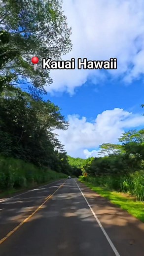 Kauai Hawaii Road 🚘🌳 📌 Speed is edited and faster due to limited reels time. Nothing to worry, driving is in normal speed. #kauai #kauaihawaii #kauaiadventures #kauaitouristdestination #kauaitouristspot #kauaitouristattractions #kauaicommunity #hawaii | Kai Vlog