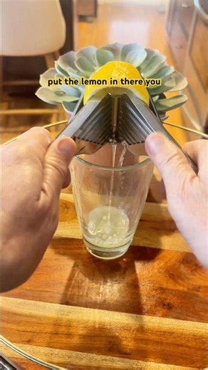 Stainless Steel Lemon Squeezer Juicer