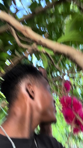 Somebody a badmind me apply tree 😤#foruyoupage #foruyou