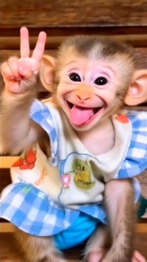 🐵 Cute Baby Monkey Showing Peace ✌ | Funny Monkey Video 2025 | Baby Monkey Smile Viral