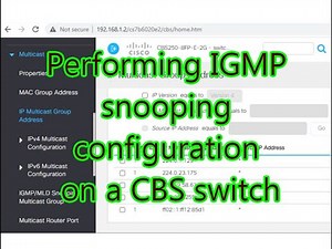 Performing IGMP snooping configuration on a CBS switch