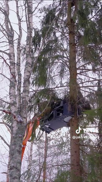 Efficient Tree Shearing with JAK-400C in Finnish Winter