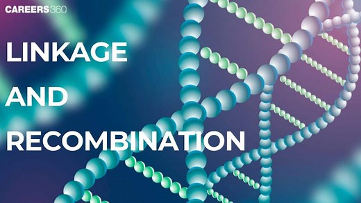 Linkage and Recombination: Definition, Differences, Diagram, Example