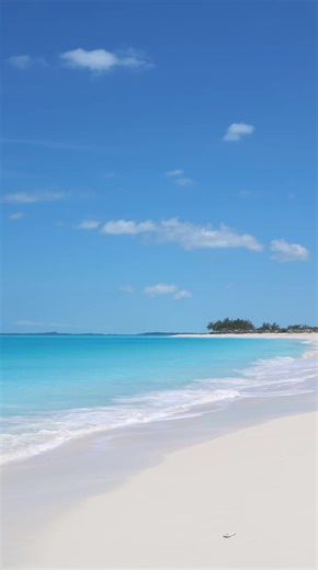 Can you createa TikTok video using powerPoint? #powerpoint #Microsoft #microsoftpowerpoint #tiktok