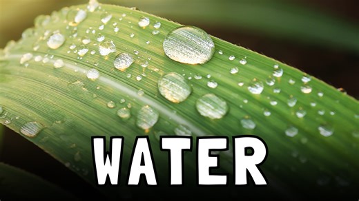 Physical properties of water