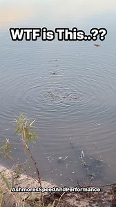 My pond is bubbling?? For no real reason at all. Aliens 👽?? 🤷🏻‍♂️! #pond #water #unknown #dogs #pets #ASAP #Oklahoma | Fred Ashmore