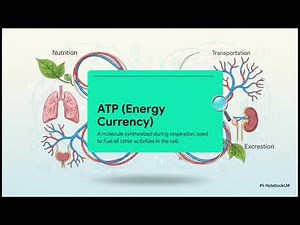 lesson no 5 ncert class 10th science from basic full animation