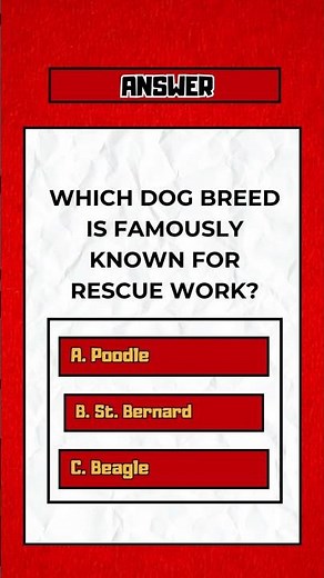 Fun Dog Trivia Quiz — Test Your Knowledge About Breeds, Puppies & More!