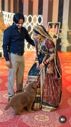 running wadding tommy importants of bride #wedding #love #cute