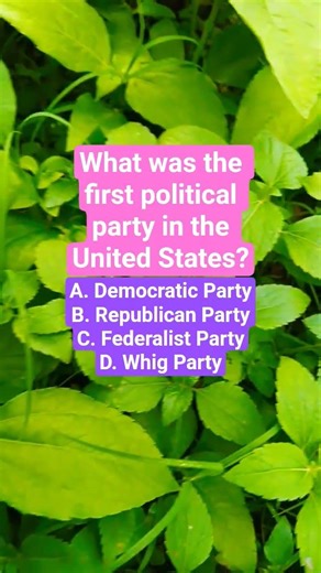 What was the first political party in the United States?